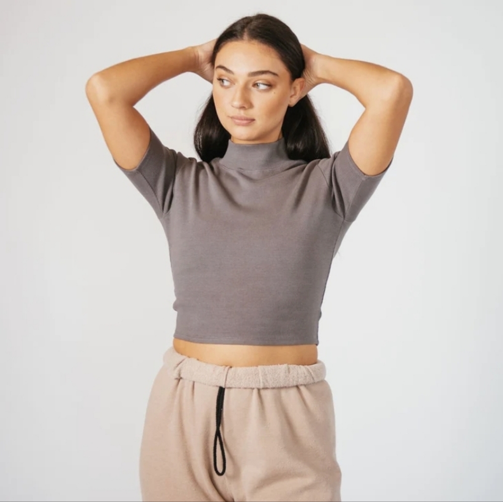Mock Neck Short Sleeve Crop Top